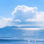 Avatar of Naeem Shah